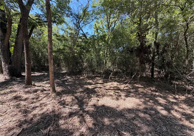 Photo 4 of Land for sale at Tbd39Ac Sw Co Rd 2340, Richland, TX 76681 | MLS# 21347727 | Listing updated on 2026-08-04