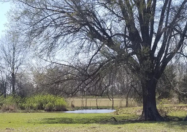 Photo 1 of Land for sale at Tbd 0000 Farm Road 1502, Detroit, TX 75436 | MLS# 21348902 | Listing updated on 2026-08-04
