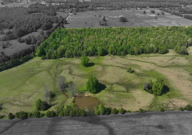 Photo 2 of Land for sale at Tbd 0000 Farm Road 1502, Detroit, TX 75436 | MLS# 21348902 | Listing updated on 2026-08-04