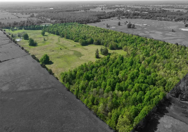 Photo 3 of Land for sale at Tbd 0000 Farm Road 1502, Detroit, TX 75436 | MLS# 21348902 | Listing updated on 2026-08-04