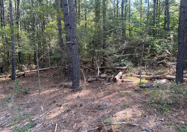 Photo 3 of Land for sale at Tbd County Road 3303, Jacksonville, TX 75766 | MLS# 21348866 | Listing updated on 2026-08-05