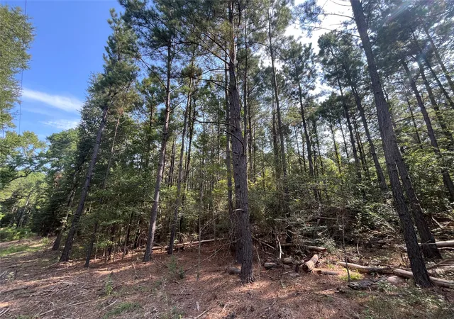 Photo 3 of Land for sale at Tbd County Road 3303, Jacksonville, TX 75766 | MLS# 21348866 | Listing updated on 2026-08-05