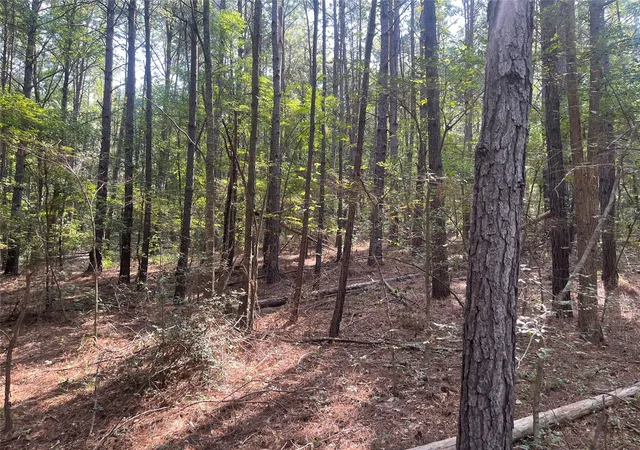 Photo 4 of Land for sale at Tbd County Road 3303, Jacksonville, TX 75766 | MLS# 21348866 | Listing updated on 2026-08-05