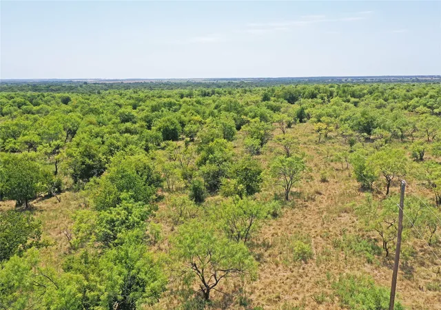 Photo 4 of House for sale at 480 Acres Tucker Rd, Perrin, TX 76486 | MLS# 21349038 | Listing updated on 2026-08-04