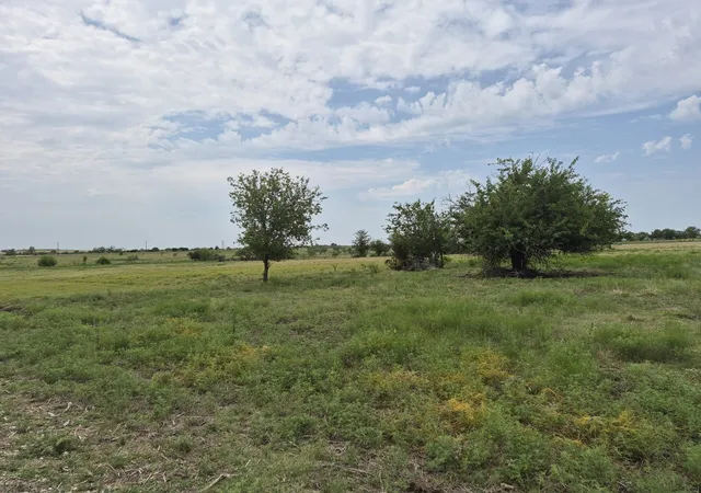 Photo 1 of Land for sale at Lot 38 Pr 4311, Jonesboro, TX 76538 | MLS# 21348862 | Listing updated on 2026-08-04