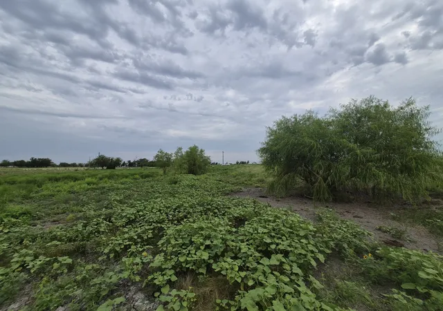 Photo 3 of Land for sale at Lot 38 Pr 4311, Jonesboro, TX 76538 | MLS# 21348862 | Listing updated on 2026-08-04