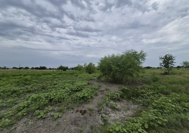Photo 3 of Land for sale at Lot 38 Pr 4311, Jonesboro, TX 76538 | MLS# 21348862 | Listing updated on 2026-08-04
