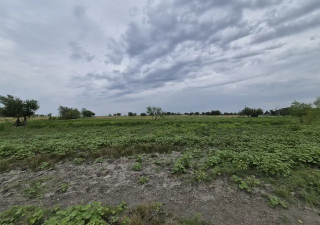 Photo 4 of Land for sale at Lot 38 Pr 4311, Jonesboro, TX 76538 | MLS# 21348862 | Listing updated on 2026-08-04