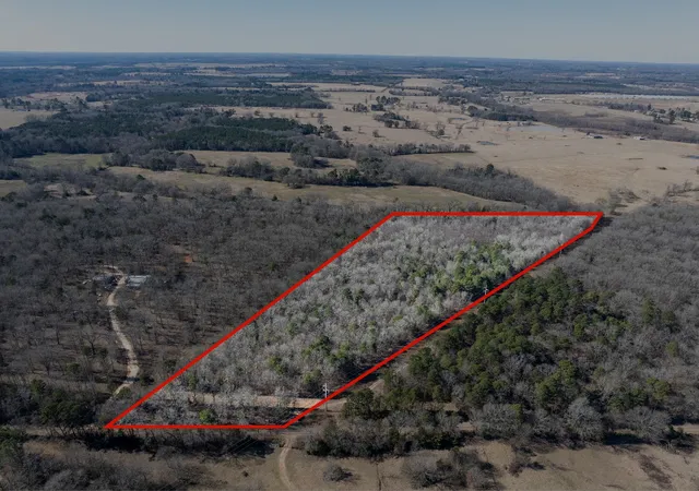 Photo 2 of Land for sale at Tbd County Road 4246, Pittsburg, TX 75686 | MLS# 21349467 | Listing updated on 2026-08-04