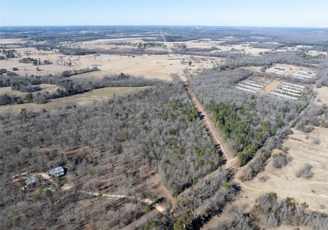 Photo 3 of Land for sale at Tbd County Road 4246, Pittsburg, TX 75686 | MLS# 21349467 | Listing updated on 2026-08-04