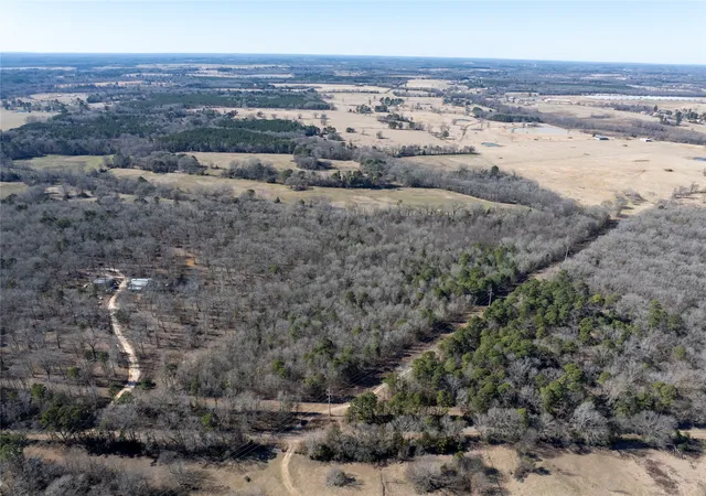 Photo 3 of Land for sale at Tbd County Road 4246, Pittsburg, TX 75686 | MLS# 21349467 | Listing updated on 2026-08-04