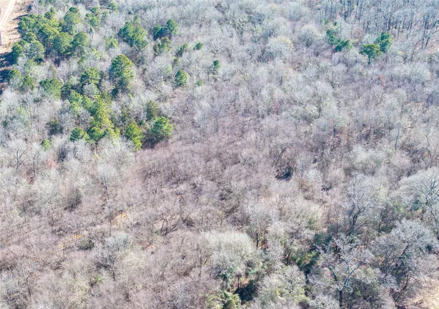 Photo 4 of Land for sale at Tbd County Road 4246, Pittsburg, TX 75686 | MLS# 21349467 | Listing updated on 2026-08-04