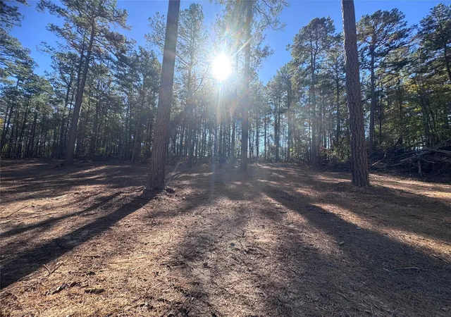 Photo 2 of Land for sale at 0 Cotton Ln, Minden, LA 71055 | MLS# 21349485 | Listing updated on 2026-08-04