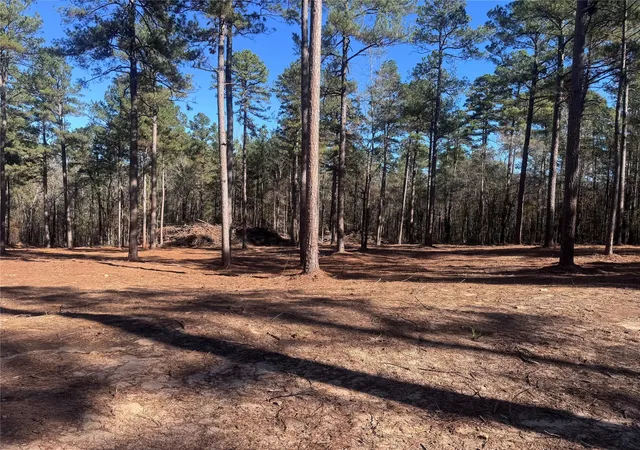 Photo 3 of Land for sale at 0 Cotton Ln, Minden, LA 71055 | MLS# 21349485 | Listing updated on 2026-08-04