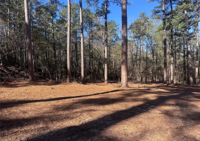 Photo 3 of Land for sale at 0 Cotton Ln, Minden, LA 71055 | MLS# 21349485 | Listing updated on 2026-08-04
