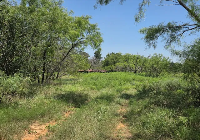 Photo 2 of Land for sale at 450 County Road 250, Gustine, TX 76455 | MLS# 21349664 | Listing updated on 2026-08-04