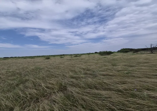 5th image of Lot 1 County Road 627, Hamilton, TX 76531 | MLS# 21349777