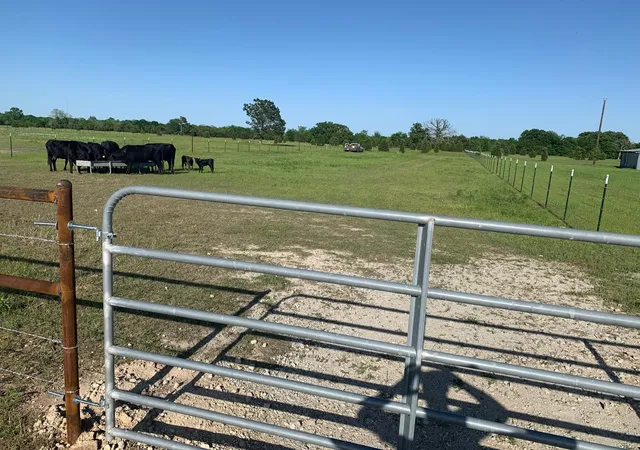 2nd image of 10658 County Road 350, Terrell, TX 75161 | MLS# 21349930