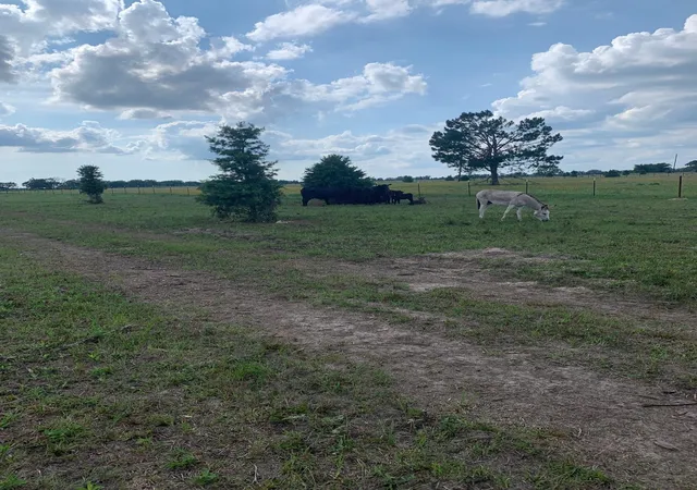 Photo 3 of Land for sale at 10658 County Road 350, Terrell, TX 75161 | MLS# 21349930 | Listing updated on 2026-10-01