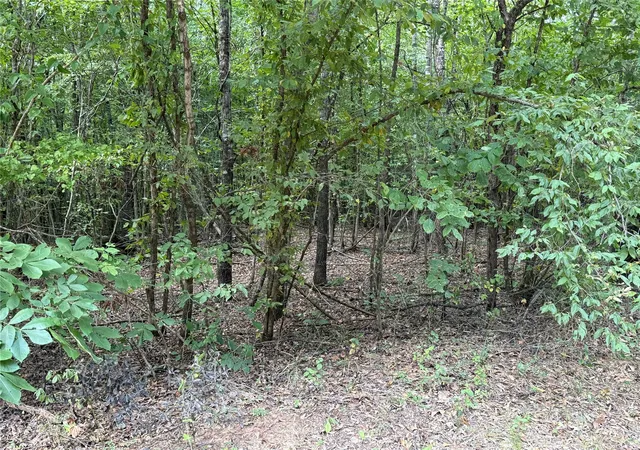 1st image of 2346 County Road 4284, Simms, TX 75574 | MLS# 21350192
