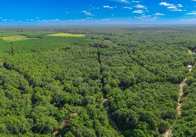 Photo 1 of Land for sale at 2346 County Road 4284, Simms, TX 75574 | MLS# 21350192 | Listing updated on 2026-08-20