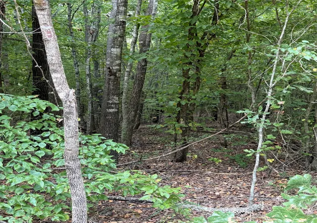 2nd image of 2346 County Road 4284, Simms, TX 75574 | MLS# 21350192