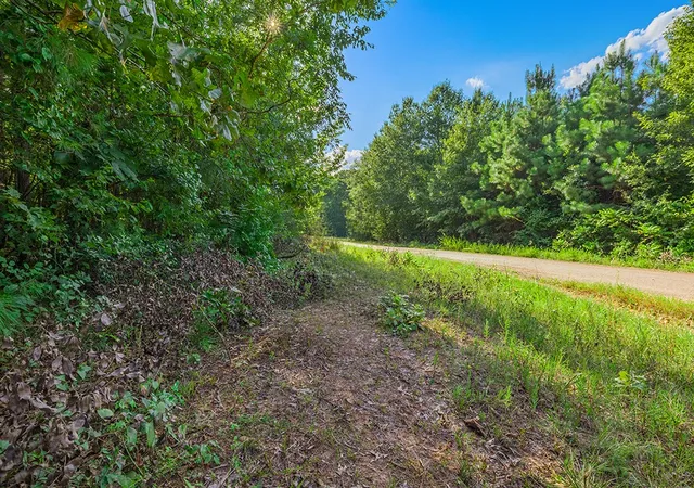 Photo 2 of Land for sale at 2346 County Road 4284, Simms, TX 75574 | MLS# 21350192 | Listing updated on 2026-08-20
