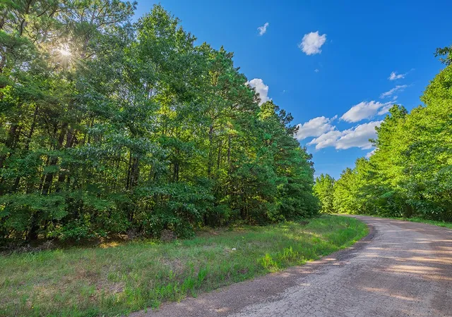 Photo 3 of Land for sale at 2346 County Road 4284, Simms, TX 75574 | MLS# 21350192 | Listing updated on 2026-08-20