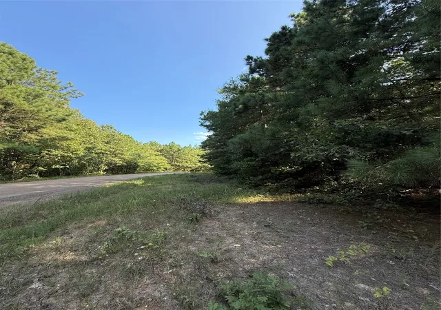 4th image of 2346 County Road 4284, Simms, TX 75574 | MLS# 21350192