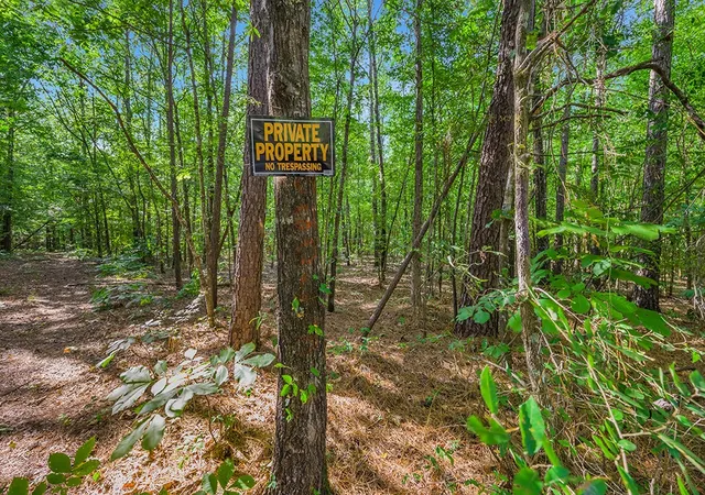 Photo 3 of Land for sale at 2346 County Road 4284, Simms, TX 75574 | MLS# 21350192 | Listing updated on 2026-08-20