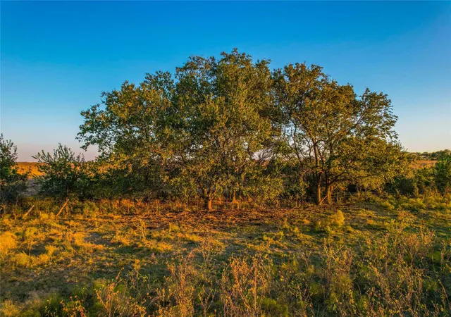 34th image of Unk County Road 262, Gatesville, TX 76528 | MLS# 21350325