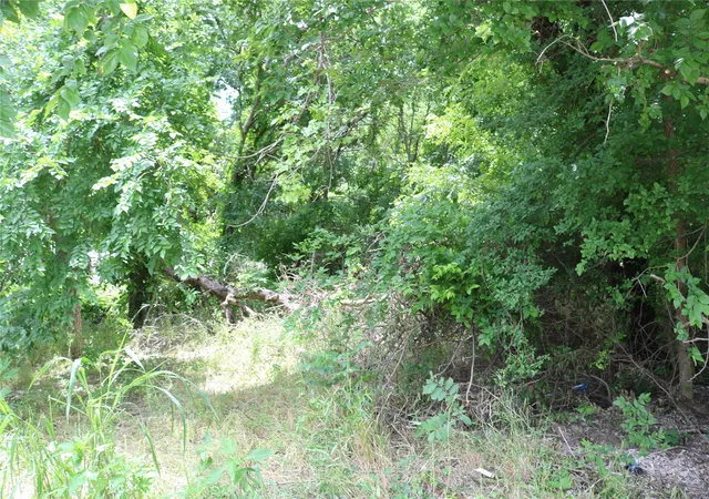 2nd image of 00 County Road 282, Dublin, TX 76446 | MLS# 21295579