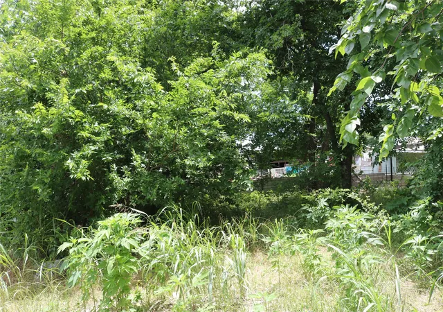 Photo 3 of Land for sale at 00 County Road 282, Dublin, TX 76446 | MLS# 21295579 | Listing updated on 2026-08-05