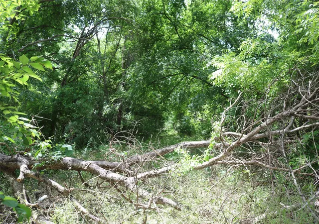 Photo 3 of Land for sale at 00 County Road 282, Dublin, TX 76446 | MLS# 21295579 | Listing updated on 2026-08-05