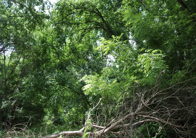 Photo 4 of Land for sale at 00 County Road 282, Dublin, TX 76446 | MLS# 21295579 | Listing updated on 2026-08-05
