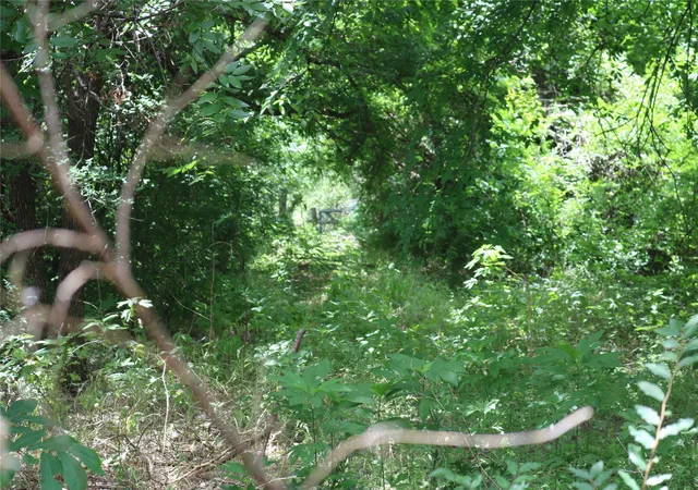 8th image of 00 County Road 282, Dublin, TX 76446 | MLS# 21295579