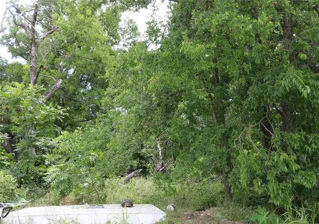 Photo 1 of Land for sale at 0 County Road 282, Dublin, TX 76446 | MLS# 21285346 | Listing updated on 2026-08-05