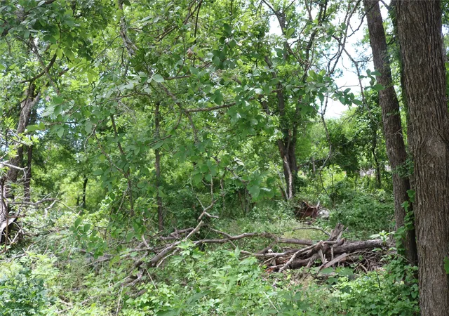 Photo 2 of Land for sale at 0 County Road 282, Dublin, TX 76446 | MLS# 21285346 | Listing updated on 2026-08-05