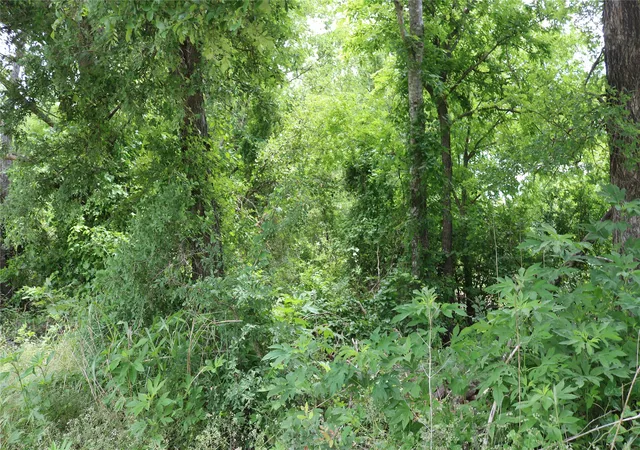 Photo 3 of Land for sale at 0 County Road 282, Dublin, TX 76446 | MLS# 21285346 | Listing updated on 2026-08-05
