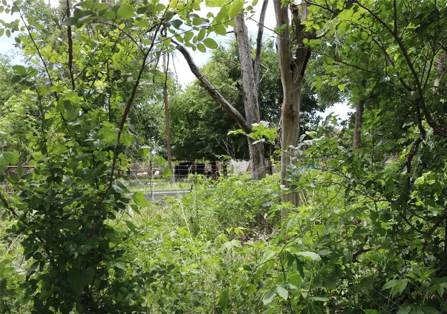 Photo 4 of Land for sale at 0 County Road 282, Dublin, TX 76446 | MLS# 21285346 | Listing updated on 2026-08-05