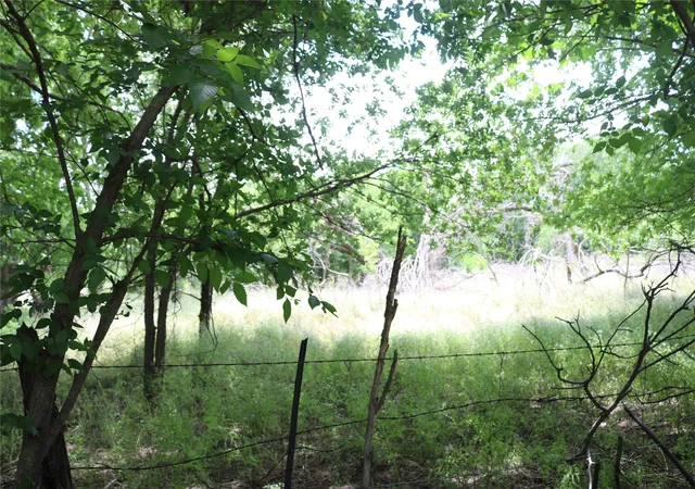 Photo 3 of Land for sale at 000 County Road 282, Dublin, TX 76446 | MLS# 21295554 | Listing updated on 2026-08-05