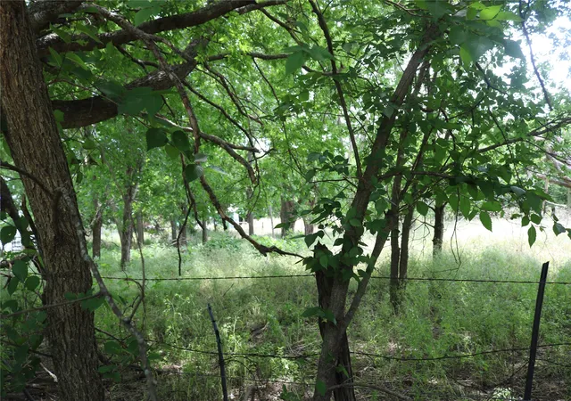 Photo 3 of Land for sale at 000 County Road 282, Dublin, TX 76446 | MLS# 21295554 | Listing updated on 2026-08-05