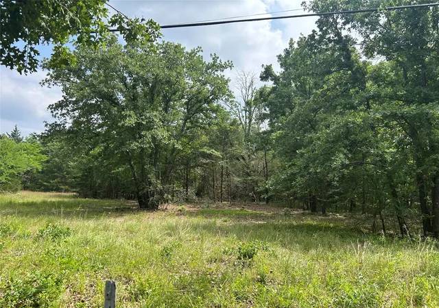 11th image of Lot 1 North Shore Rd, Quinlan, TX 75474 | MLS# 21349221