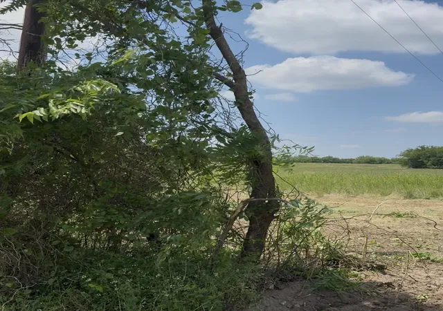 Photo 1 of Land for sale at Lot 1 County Road 308, Terrell, TX 75161 | MLS# 21350296 | Listing updated on 2026-08-05