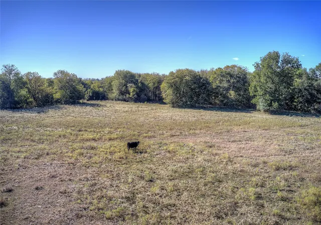 Photo 2 of Land for sale at Lot 1 County Road 308, Terrell, TX 75161 | MLS# 21350296 | Listing updated on 2026-08-05