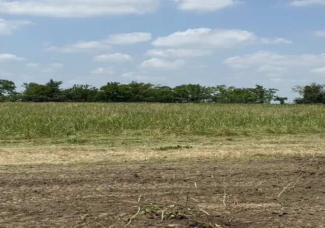 Photo 3 of Land for sale at Lot 1 County Road 308, Terrell, TX 75161 | MLS# 21350296 | Listing updated on 2026-08-05