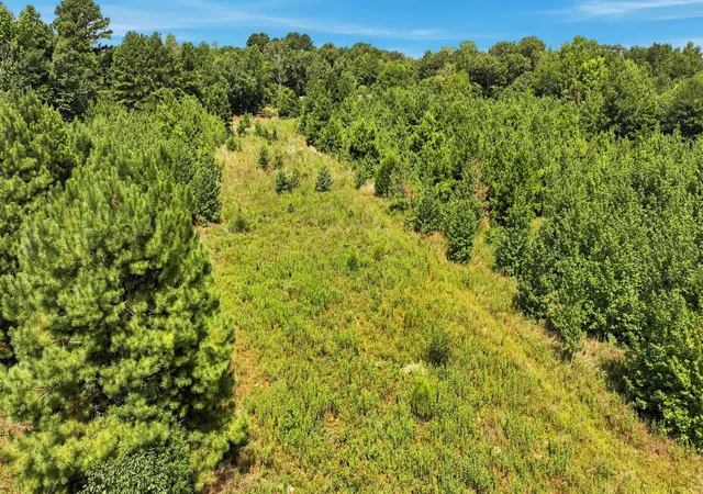 Photo 3 of Land for sale at  Samples Rd, Kilgore, TX 75662 | MLS# 21350576 | Listing updated on 2026-09-29