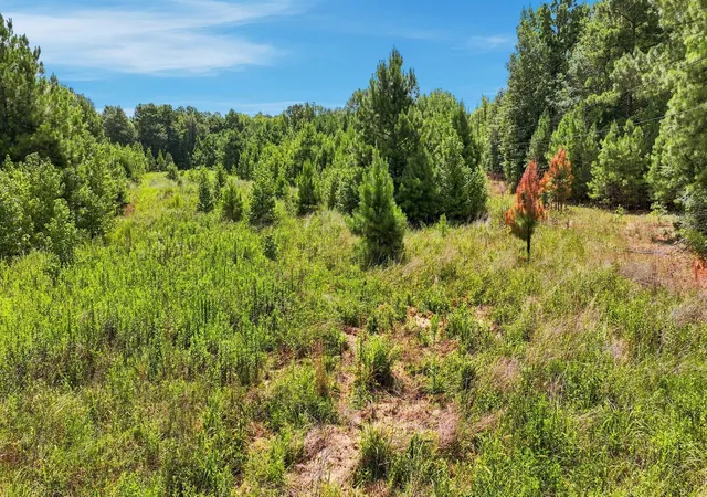 Photo 4 of Land for sale at  Samples Rd, Kilgore, TX 75662 | MLS# 21350576 | Listing updated on 2026-09-29