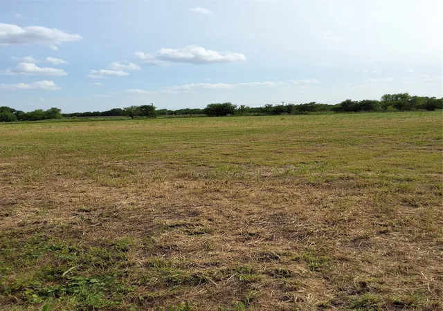 3rd image of 000 S Commerce St, Mart, TX 76664 | MLS# 21350444