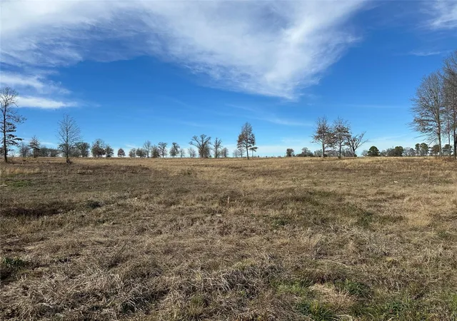 1st image of 0000 County Road 2425, Como, TX 75431 | MLS# 21350814